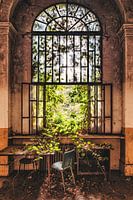 Overgrown window