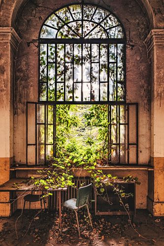 Overwoekerd raam