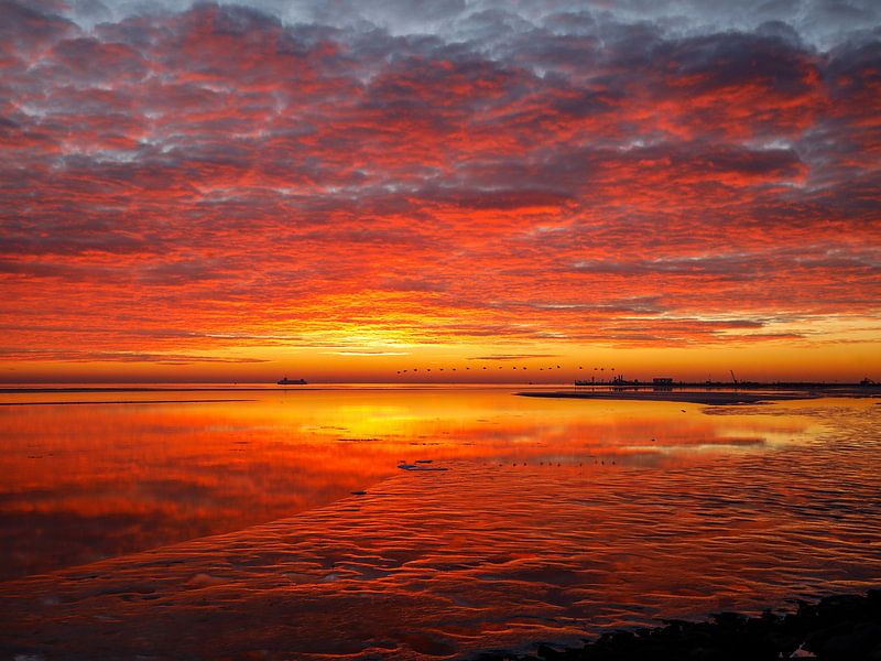 Wadden Sea in a special colourful splendour by Nicole Nagtegaal