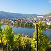 Vignobles près de Bernkastel-Kues, Rhénanie-Palatinat en automne sur SusaZoom
