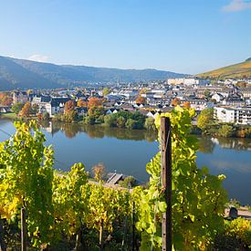 Weinberge bei Bernkastel-Kues, Rheinland-Pfalz im Herbst von SusaZoom