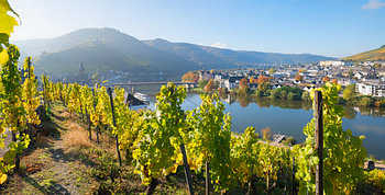 Wijngaarden bij Bernkastel-Kues, Rijnland-Palts in de herfst