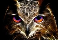 Owl with 3D light stripes by Bert Hooijer thumbnail