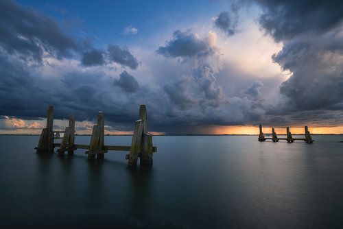 Chef de port Hellevoetsluis Haringvliet