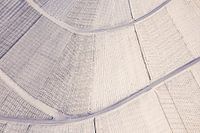 Luftbild Weinberge in Stuttgart im Winter