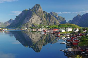 Aussicht auf den Reinefjorden