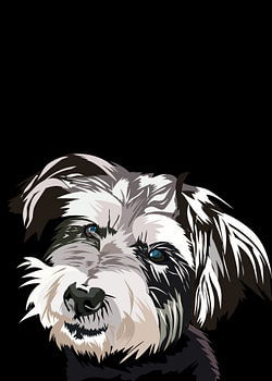 Schnauzer Hund in Vektor
