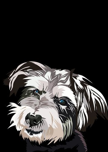 Schnauzer hond in vector