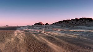 Tempête de sable sur Orangefield-images