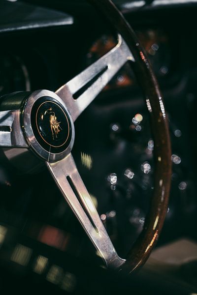 Detail Lenkrad Lamborghini von Gerlach Delissen