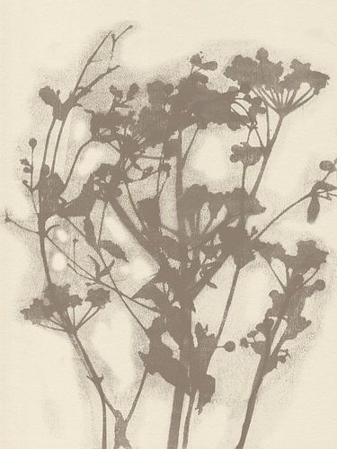 Wilde bloemen in taupe op beige nr. 1