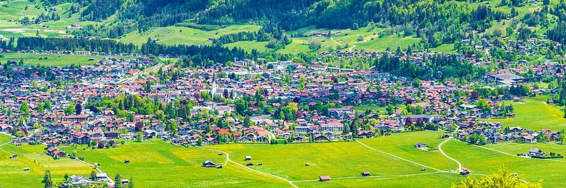 Panorama of Oberstdorf from the south-west by Walter G. Allgöwer