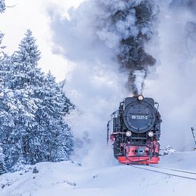 Dampfzug im Winterwunderland von Rob Bergman