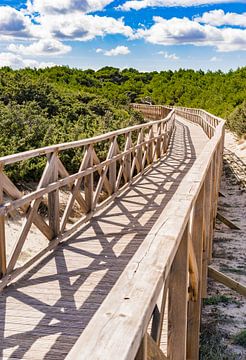 Houten voetgangersbrug over zandduinen bij de baai van Alcudia op Mallorca, Spanje Middellandse Zee van Alex Winter
