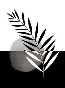 Brin noir et blanc