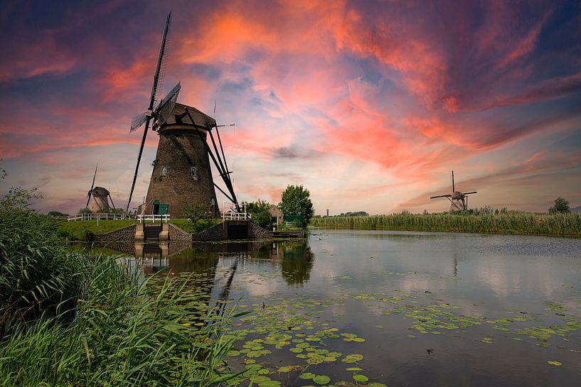 Kinderdijk Windmolens van Brian Morgan