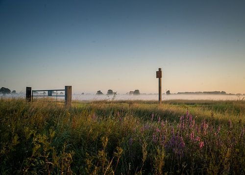 De Binnenveldse Hooilanden