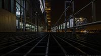 Cruise Terminal Rotterdam aan de Maas van Simon van Leeuwen thumbnail