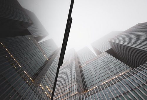 Die Rotterdamer Reflexion