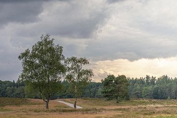 Donkere wolken boven de Renderklippen, Epe, Nederland van Eric Wander