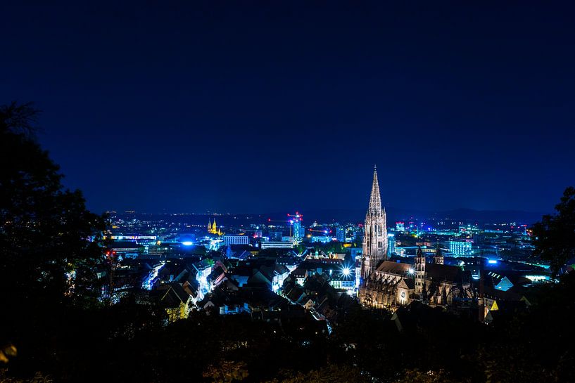 Deutschland, Freiburg im Breisgau in blauer Atmosphäre in der Nacht von adventure-photos
