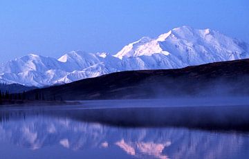 Alaska, Mount Denali van Paul van Gaalen, natuurfotograaf
