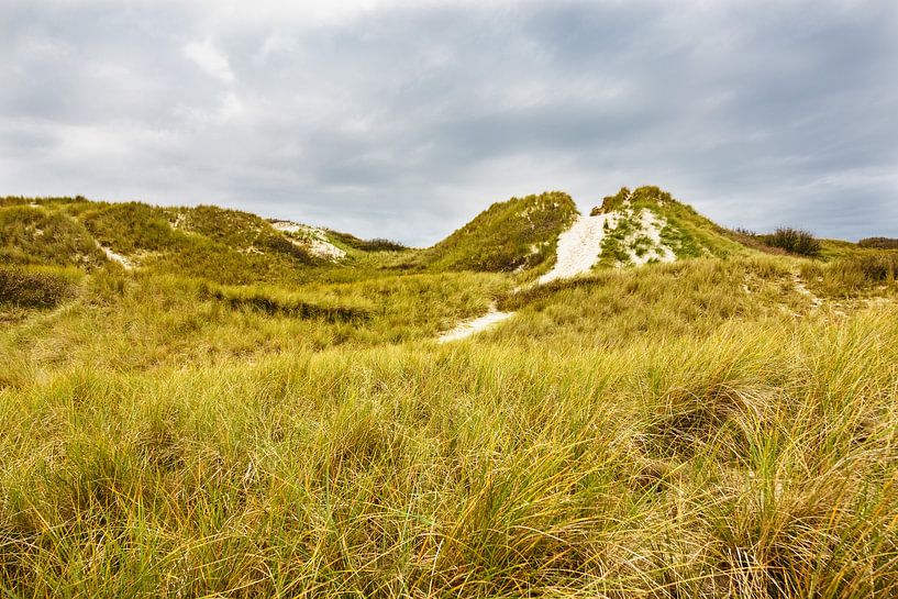 Landschaft in den Dünen auf der Insel Amrum van Rico Ködder