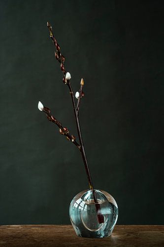 Kätzchen in einer Vase