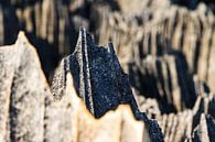Puntige rotsen van de Tsingy van Dennis van de Water thumbnail