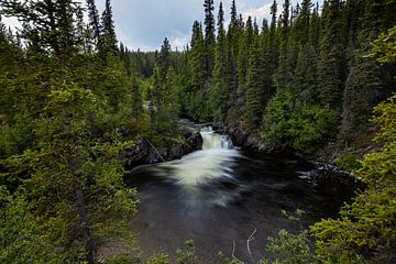 Wasserfall in den Rocky Mountains von Roland Brack