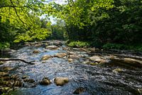Rivierlandschap in Nova Scotia/Canada