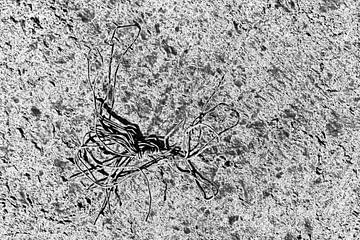 Extraterrestrial life