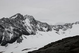 No black and white photo of the Austrian mountains by Fenneke Visscher