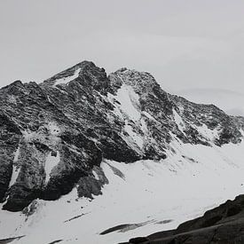 Geen zwart-wit foto van de Oostenrijkse bergen van Fenneke Visscher