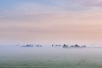 Vermifuge dans le brouillard