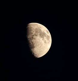 Mond von mondenkind