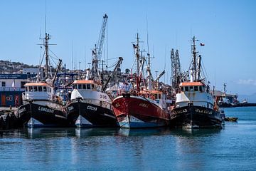 In the port of Coquimbo by Thomas Riess