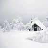 Besneeuwd huisje in fins Lapland van Menno Boermans