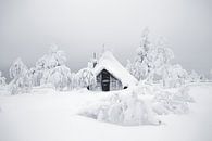 Verschneite Hütte in Finnisch-Lappland von Menno Boermans Miniaturansicht