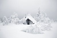 Besneeuwd huisje in fins Lapland