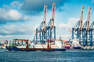 Containerschip Samskip Commander in de haven van Rotterdam van Sjoerd van der Wal Fotografie thumbnail