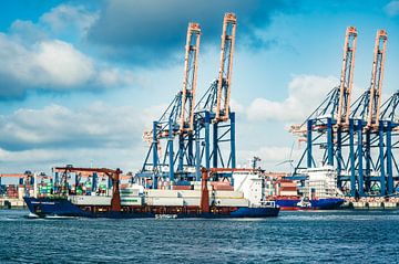 Container ship Samskip Commander the port of Rotterdam by Sjoerd van der Wal Photography