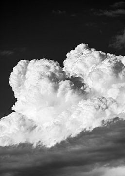 Beweging in de lucht #1 van Rafael Campezato