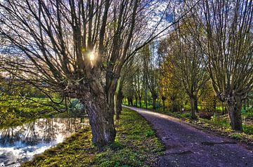 Polder landscape in Rotterdam with pollard willows by Frans Blok