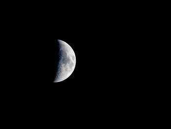 love you to the moon and back