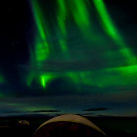 Noorderlicht, Aurora Borealis, IJsland van Eddy Westdijk