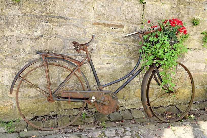 Old rusty bike with a plant in the basket by Nicolette Vermeulen