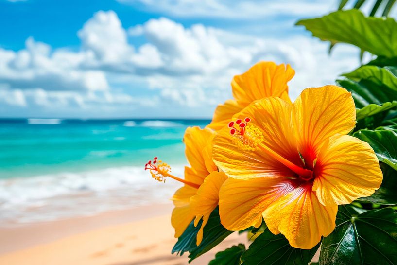Tropical hibiscus blossom on the beach by Poster Art Shop
