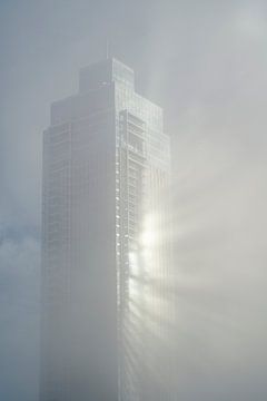 Rotterdam, the Zalmhaven tower reflecting in the morning fog