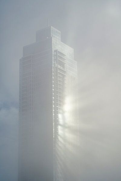 Rotterdam, the Zalmhaven tower reflecting in the morning fog by Raoul Baart